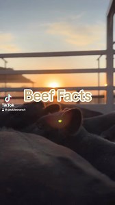 98 reactions | Did you know these beef facts? #eatbeef #cattleindustry #supportagriculture #supportranching | Double E Ranch | Facebook