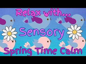 Sensory Spring Time Calm - Birds and Butterflies In Spring