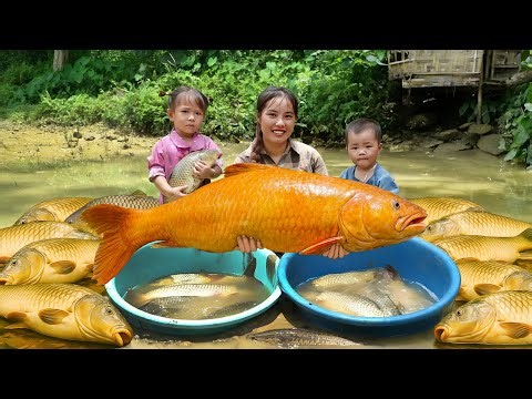 Unbelievable Catching Fish from a Hidden Pond | Ms. Duong's Family Fishing Journey | Village Life