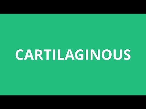 How To Pronounce Cartilaginous - Pronunciation Academy