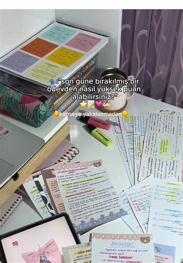 Aidor: Yüksek Puan İçin Yapay Zeka Destekli Ödevler