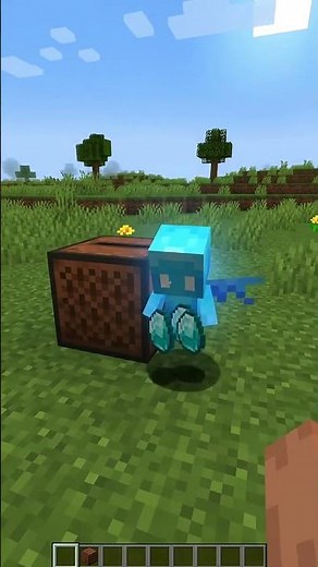 Most Minecraft Players Don't Know This Allay Trick! 😱💎 #minecraft