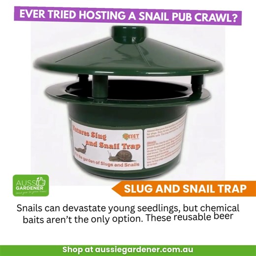 2.5K views | Say Goodbye to Slimy Pests: Discover the Easy, Effective...