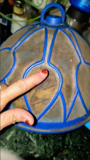 🕷️5 smart home pest control tips 🦗 #DIY life hacks #DIY kitchen hacks #housetips 🤔💡😲