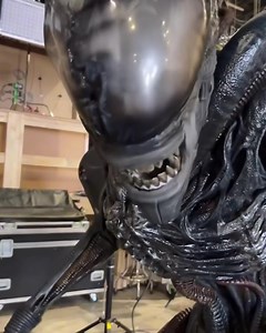 233K views · 2.6K reactions | L’impressionnant Xénomorphe animatronique de Alien : Romulus  Sortie demain au cinéma ! | popcorns | Facebook