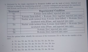 Motivated by the classic experiment by Frederick Griffith and t... | Filo