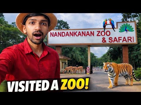Nandankanan Zoo Full Tour | White Tiger Safari 😍 #nandankanan #zoovlog
