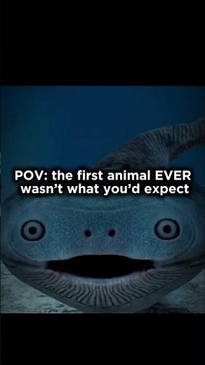The First Animal on Earth Had No Face, No Bones