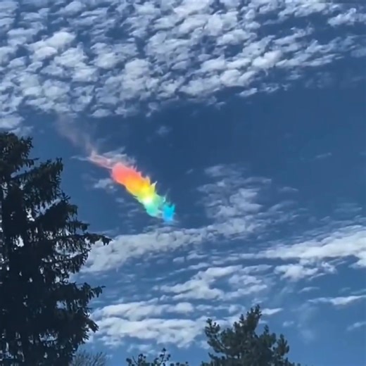 Strange Phenomena In Florida,USA and Canada Update February 23,2025 @topfans | EndTimes News