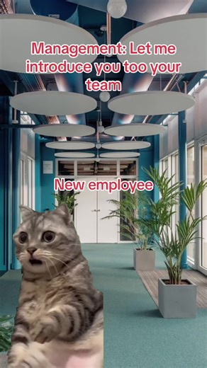 Funny Work Memes Compilation | Hilarious Workplace Moments