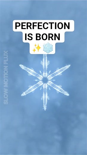 The Slow Motion Birth of a Snowflake: An Extreme Macro View of Nature's Hidden Art