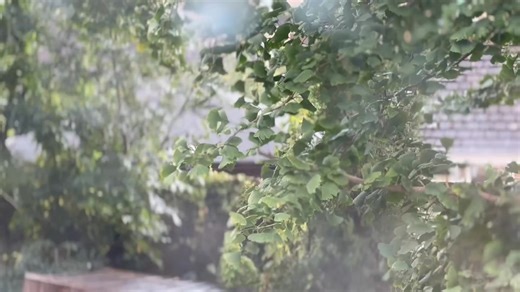 16 reactions | Another project complete ‍♂️✨ Our team carried out all the tape & jointing and plasterboarding work for this beautiful lodge — bringing every surface together with precision and care. Take a look at this short 40-second cinematic clip to see the results for yourself  There’s nothing more satisfying than a flawless finish.  | Daedalus Drylining & Plastering | Facebook