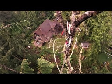 Grappling Hook for Tree Workers