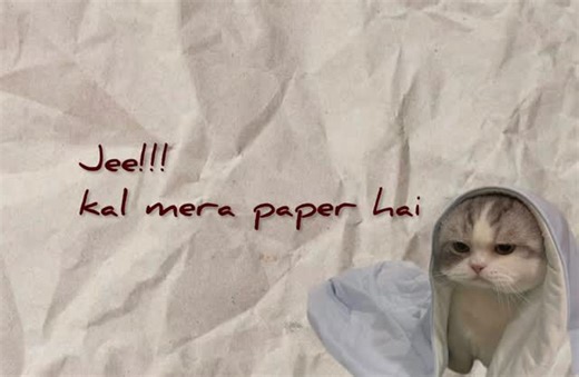 :) on Instagram: "Ohoooo!!! parhna tou bhool hi gya main🤦🏻‍♀️🫩 . . . . . [paper,exam preparation,cats,content creation, typography wali script,faceless content,daily reels] #typography #catmemes #funnycat #relatable #paper #examseason #explore #fyp #goviral #dailypost #viral"