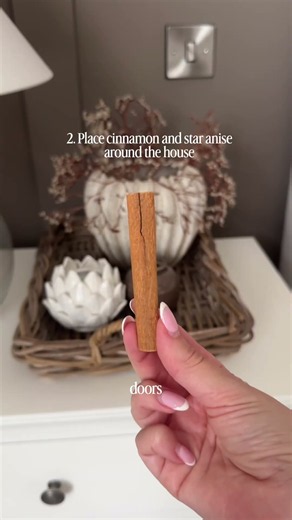 3 hacks to keep spiders OUT! 🕷️ #cleantok #cleaningmotivation #cleaningtips #cleaninghacks