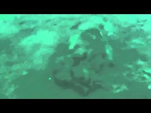 Fishing with a laser pointer