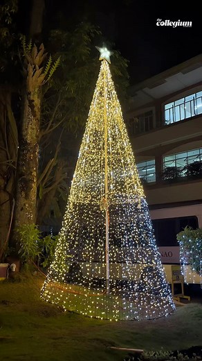 27K views · 964 reactions | 퐖퐀퐓퐂퐇 | Witness the joyous, momentous celebration on the grounds of UM Tagum College as the Christmas spirit enlivens the campus. During the Christmas lighting ceremony earlier tonight, all UMTCians, faculty, and staff gathered to celebrate and welcome the Christmas season. via Eunice Camasura Video by: Ron Chester Valderoso, Erika Racacho, and Joven Sadje Edited by: Erika Racacho #TheCollegium #YourInformationOurObligation #XXXVI | Collegium | Facebook