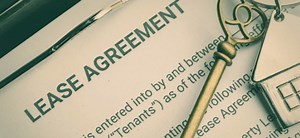 Who Is Responsible For Bed Bugs The Landlord or The Tenant?