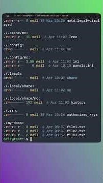 Colored file and folder browsing with eza - Useful Linux CLI tools