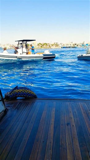 scuba sea hurghada divers #scubadiving #turtlewatching #scubaseahurghada #travel #hurghada #ocean