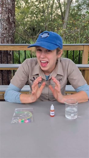 🌊 HOMESCHOOL MORNING: OCEAN CHEMISTRY! 🔬 Next week’s class is all about pH testing, density experiments, real tank water analysis, and rocket launches! 🚀💙 Miss Paige will be leading an engaging, hands-on science morning your kids will love. 📅 Dec 3: 6th-8th grades | Dec 4 & 5: K-5th ⏰ 9:30–10:30 AM 📍 Tarpon Springs Aquarium & Animal Sanctuary 🎟 Included with regular admission / FREE for Annual Pass Holders ✨ Students are grouped for a more personal learning experience. ✨ Please arrive aro