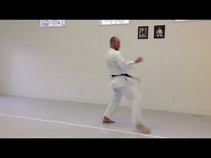 Kizami Mae Geri chudan, Mae Geri jodan | IKD Testing Syllabus videos | Shotokan Karate 2013