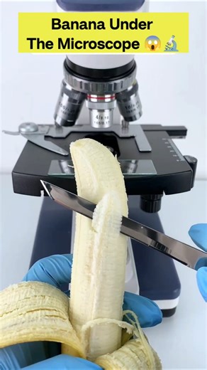 Shocking view banana under microscope 😱🔬 #shockingfacts #microscope