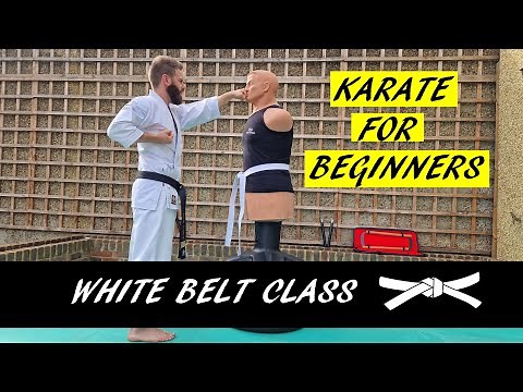Karate Class for Beginners - White Belt Lesson