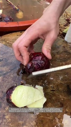 Clean, Safe Slicing of Red-Skinned Tubers for Cooking Prep