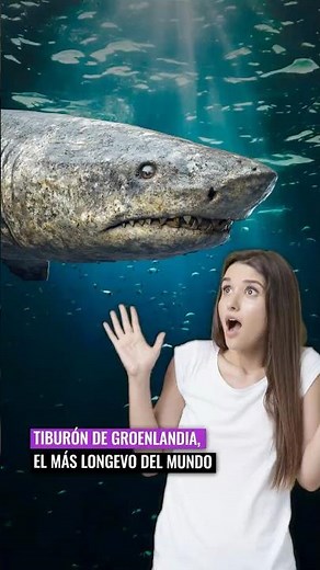 🦈 Tiburón de Groenlandia 🇬🇱😱: el animal que puede vivir más de 400 años