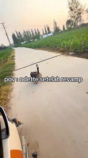 #mlbbcreatorcamp #revampodette #mllbbtiktok | love story