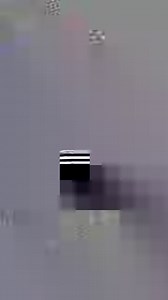 294K views · 1.1K reactions | if dogs could text, all business trips would be animal-friendly written by: sarah bockian | TXT Stories | Facebook