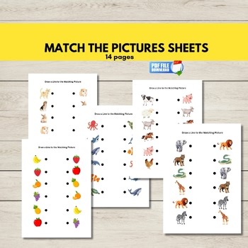 Match the Pictures Worksheets, Printable Picture Matching Activity Sheets, PDF,
