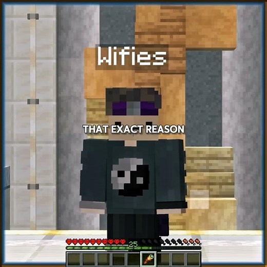 It's All Yours.. | Unstable SMP | House Of Memories #unstablesmp #wifies #viral #trending