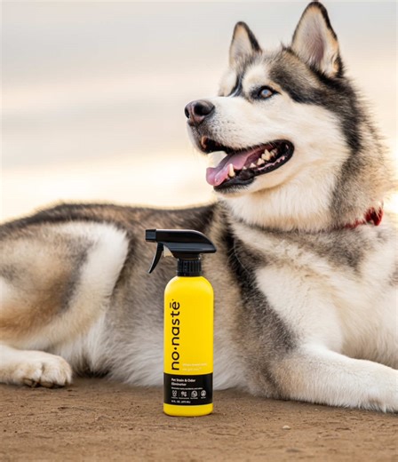 We love a good enzyme powered spray 😌 Perfect for potty-training fails, surprise barfs, that one rug they always return to... and every “eww” in between! #Nonaste #petcleaner #enzymepowered #petstains #cleanbrand