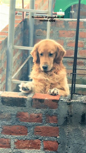 Videos de …. (@brigitte.aa) con “sonido original - Dani Valle”