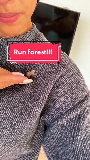 Thiana the Bug Lady: How to Encourage Your Spiders to Come Out