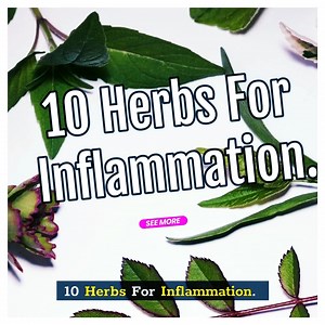 10 Herbs For Inflammation. | All about health and nutrition