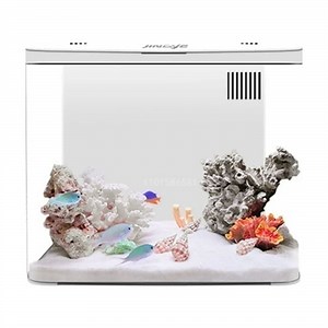 1.3 Gal Aquarium Fish Tank No Water Change Self-circulating Ecological Fish Tank with Slient Pump Led Lamp