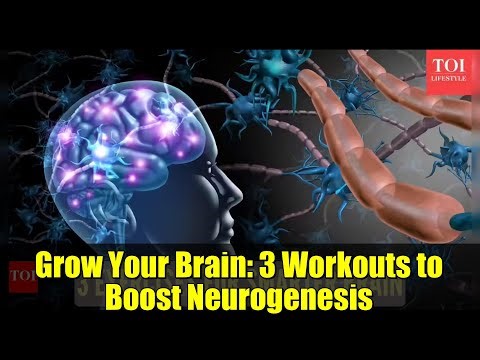 Grow Your Brain: 3 Workouts to Boost Neurogenesis
