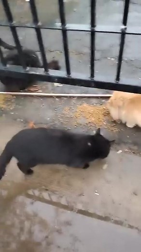 Walter Cooper on Reels | Facebook