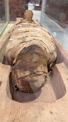 THE MUMMY WITH NO NAME #egyptianmuseum #pyramidsofegypt #ancientegypt #mummy #visitegypt #history
