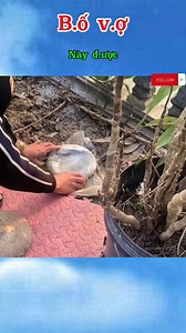 1.5M views · 8.2K reactions | B,ố v,ợ này được | World Channel Television | Facebook