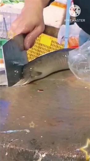 Eel Fish Cutting Techniques l 😍 l #shorts #viralshorts #fishcutting_skills #eelfish