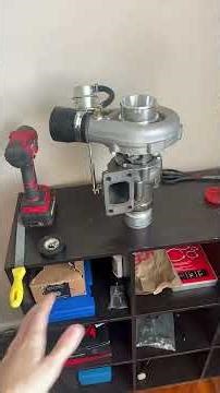 Are eBay Turbos good #petshub