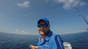 Tripletail Fishing 酪 with a DOA Shrimp. @doa_fishing_lures | Fishingfins | Facebook