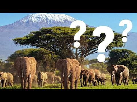 Why Did Wild Elephants Vanish From Tsavo for Decades?