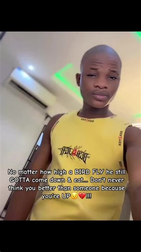 The Humble Journey of Birds: Always Coming Down