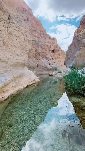 ⓉⓇⒶⓋⒺⓁ ⒶⒹⒹⒾⒸⓉ على TikTok