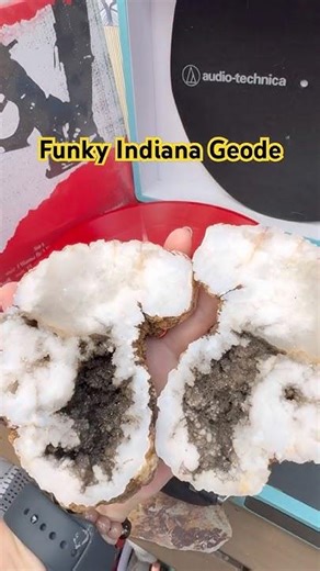 This Indiana geode has an unusual shape, which is why I got it#rockhounding #chicksthatrock #geology